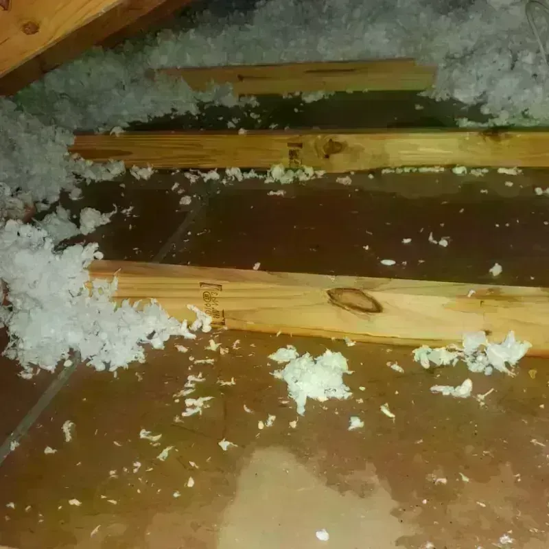 Attic Water Damage in Pine Ridge, FL